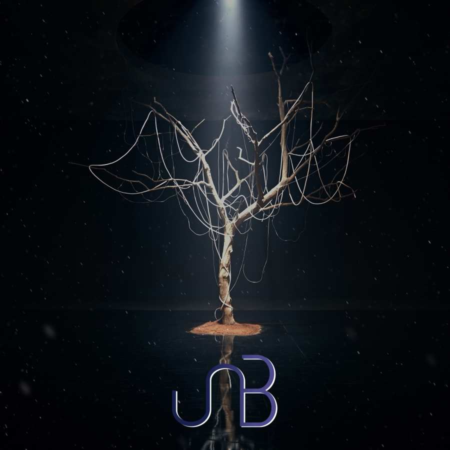 UNB — Feeling (감각) cover artwork