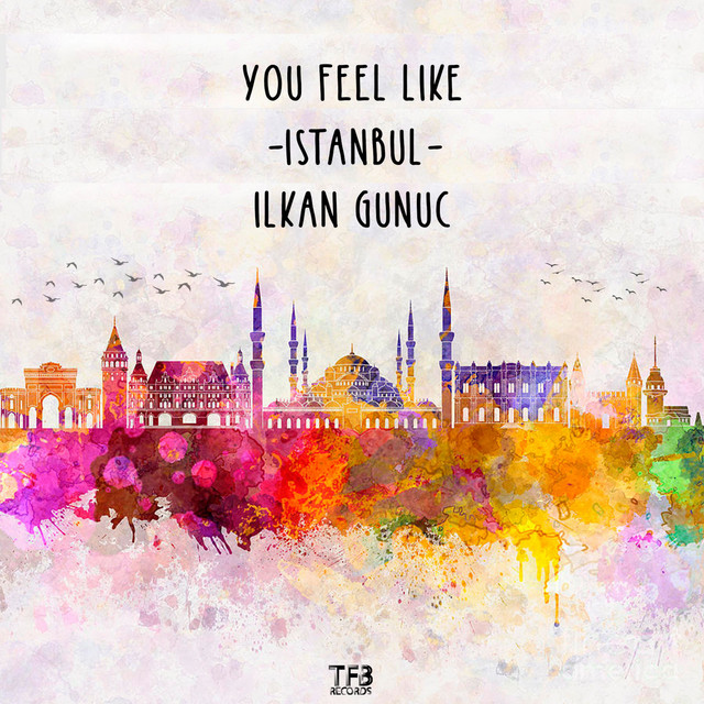 Ilkan Gunuc — You Feel Like Istanbul cover artwork