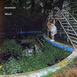 Shannon Williams — Hello cover artwork