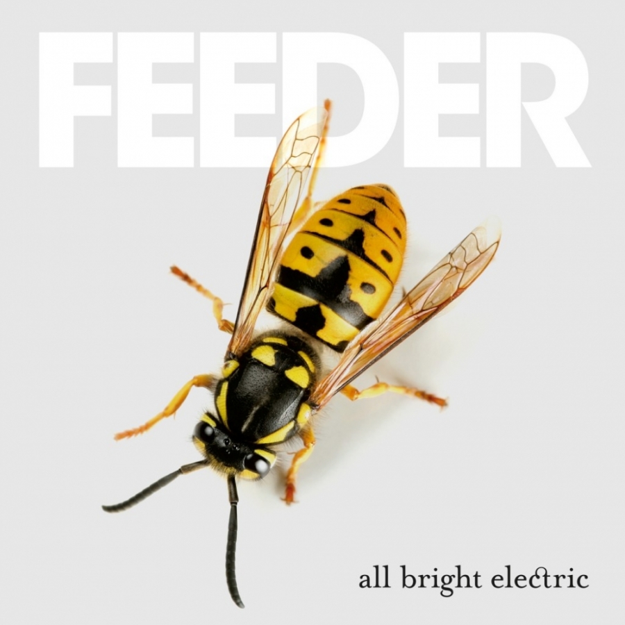 Feeder All Bright Electric cover artwork
