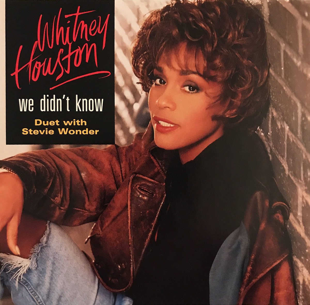 Whitney Houston & Stevie Wonder — We Didn&#039;t Know cover artwork