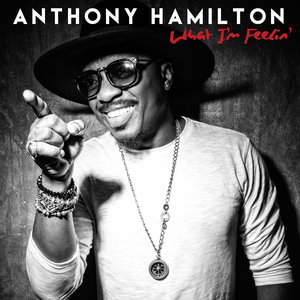 Anthony Hamilton What I&#039;m Feelin&#039; cover artwork