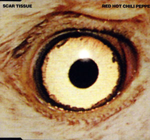 Red Hot Chili Peppers — Scar Tissue cover artwork