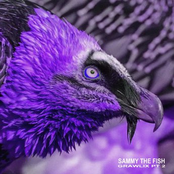 sammythefish — still not over cover artwork