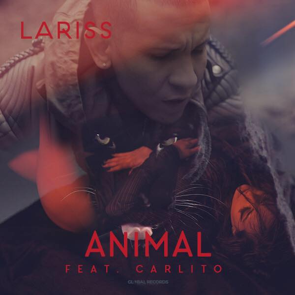 Lariss featuring Carlito — Animal cover artwork