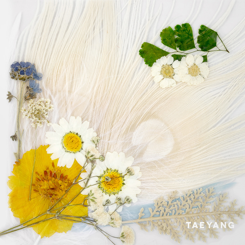 TAEYANG — DARLING cover artwork
