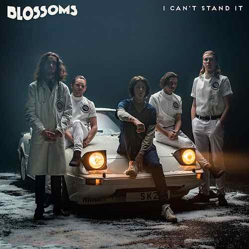 Blossoms I Can&#039;t Stand It cover artwork