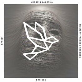 Joaquin Lamanna — Bruises cover artwork