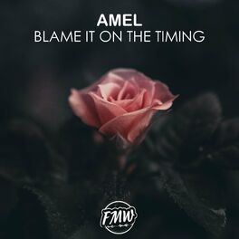 Amel — Blame It On The Timing cover artwork