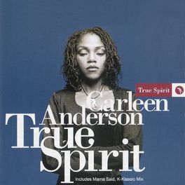 Carleen Anderson — Let It Last cover artwork
