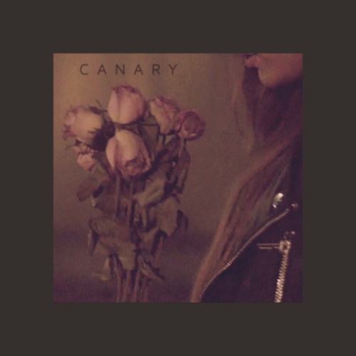 Nikki Flores — Canary cover artwork