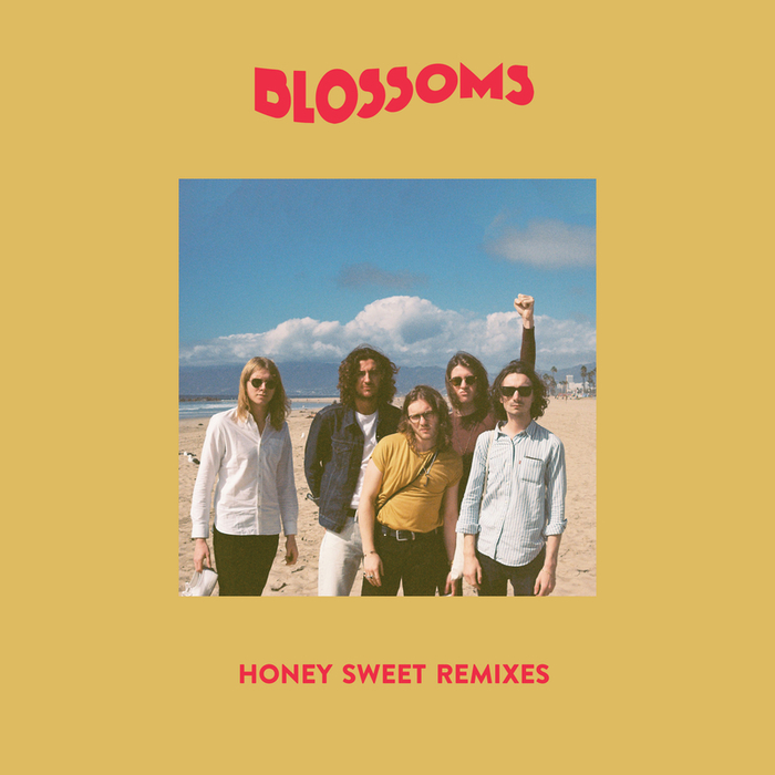 Blossoms — Honey Sweet cover artwork