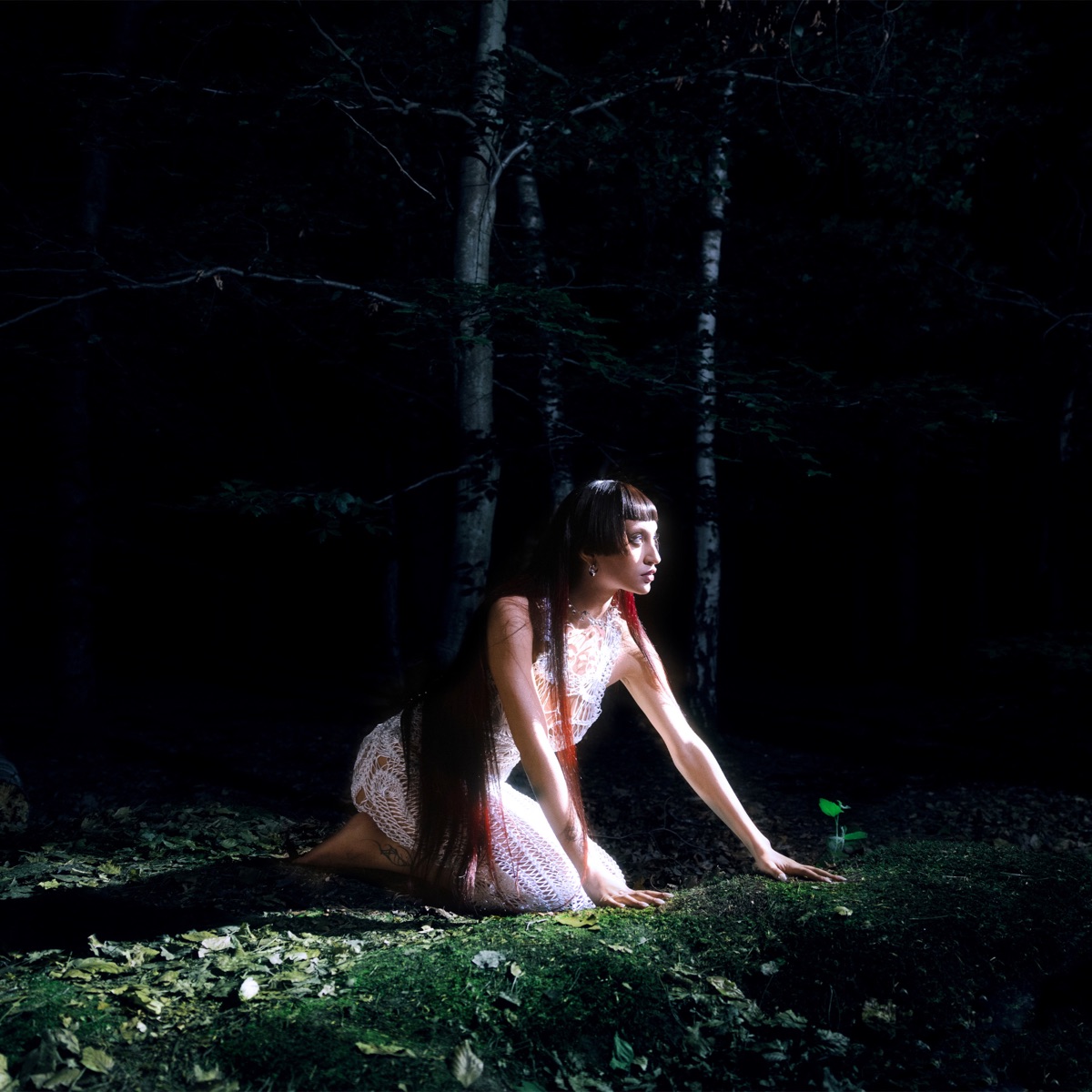 Joanna WHERE&#039;S THE LIGHT ? cover artwork