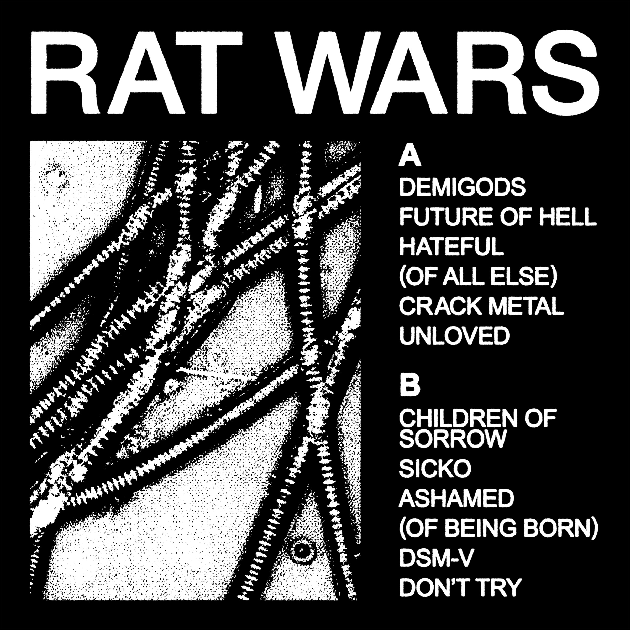 HEALTH RAT WARS cover artwork