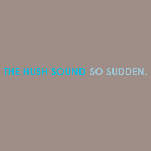 The Hush Sound So Sudden cover artwork