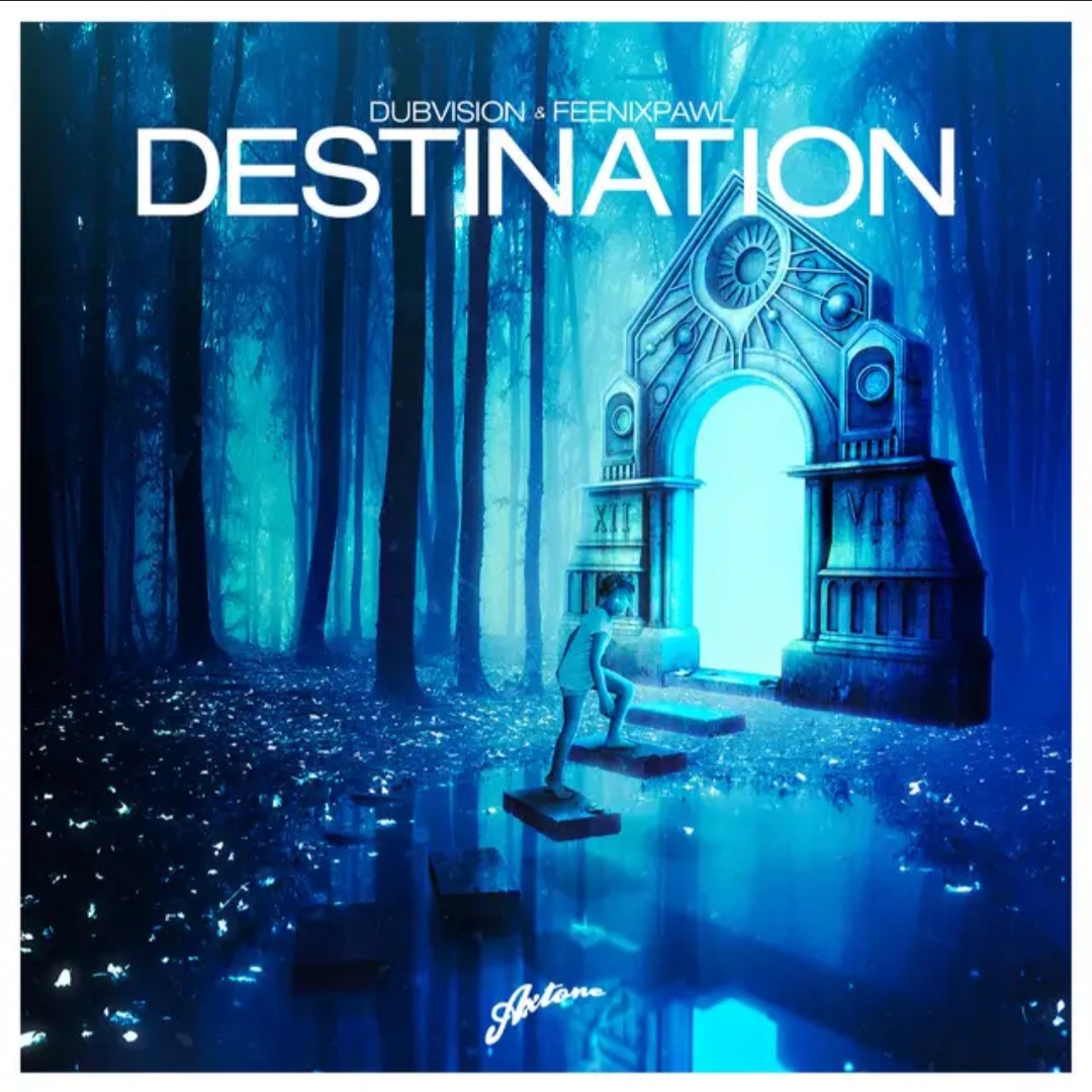 DubVision & Feenixpawl — Destination cover artwork