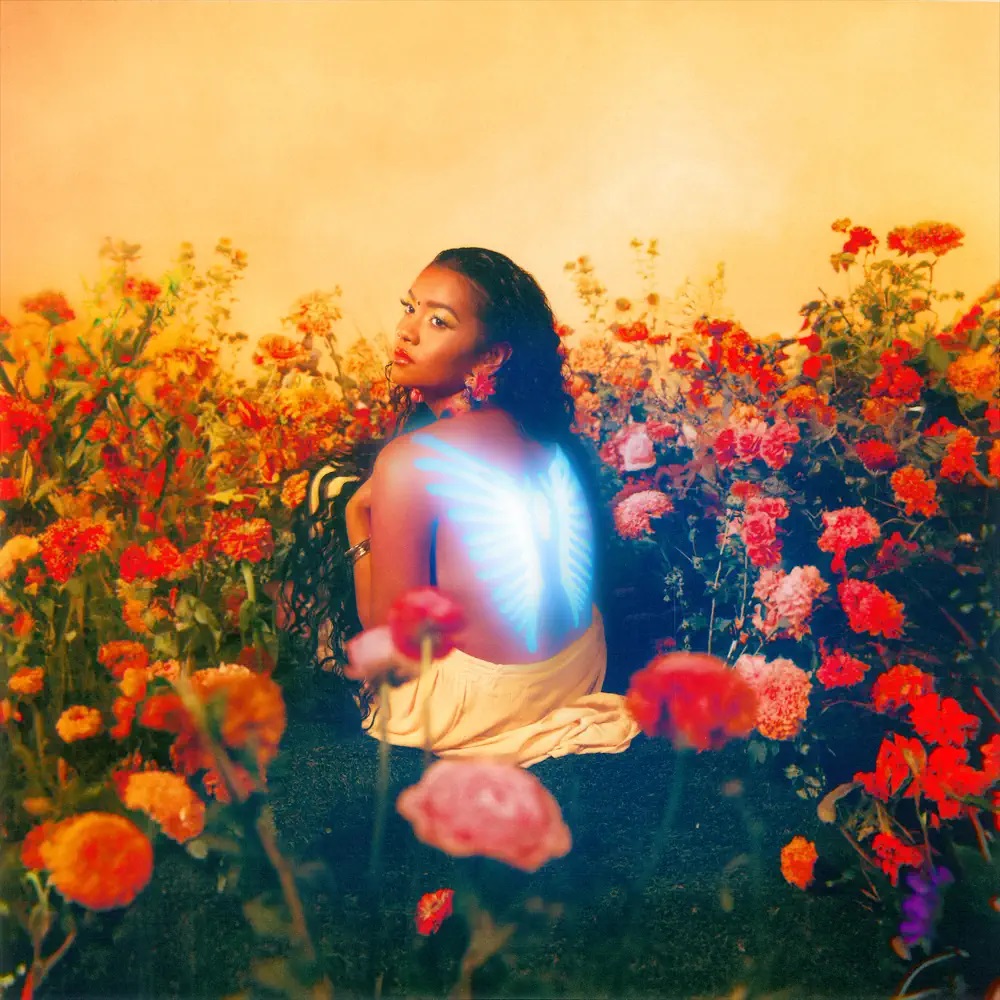 Paravi — Revenge Body cover artwork
