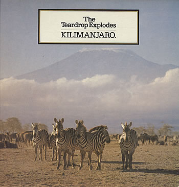 The Teardrop Explodes Kilimanjaro cover artwork