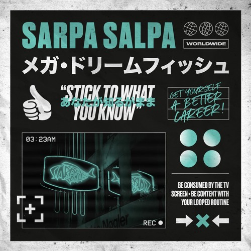Sarpa Salpa — Stick To What You Know cover artwork