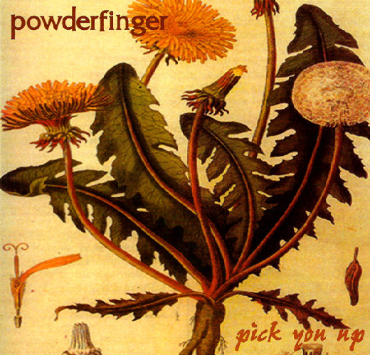 Powderfinger — Pick You Up cover artwork
