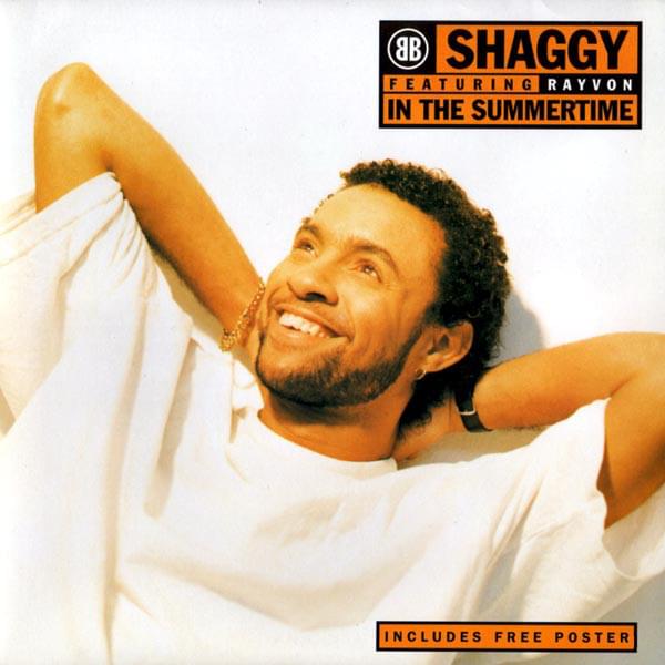 Shaggy ft. featuring Rayvon In The Summertime cover artwork