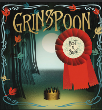 Grinspoon — More Then You Are cover artwork