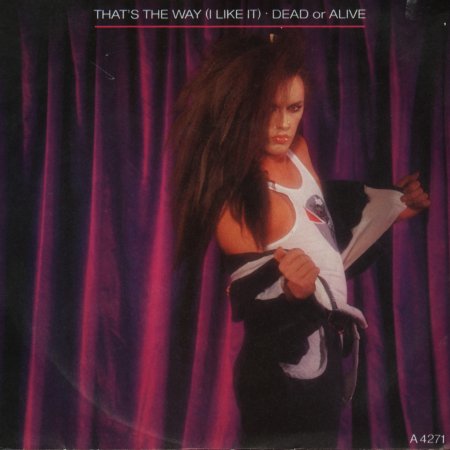 Dead Or Alive That&#039;s the Way (I Like It) cover artwork