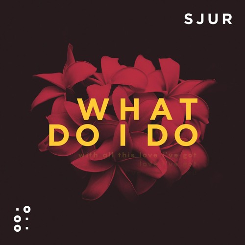 SJUR — What Do I Do cover artwork