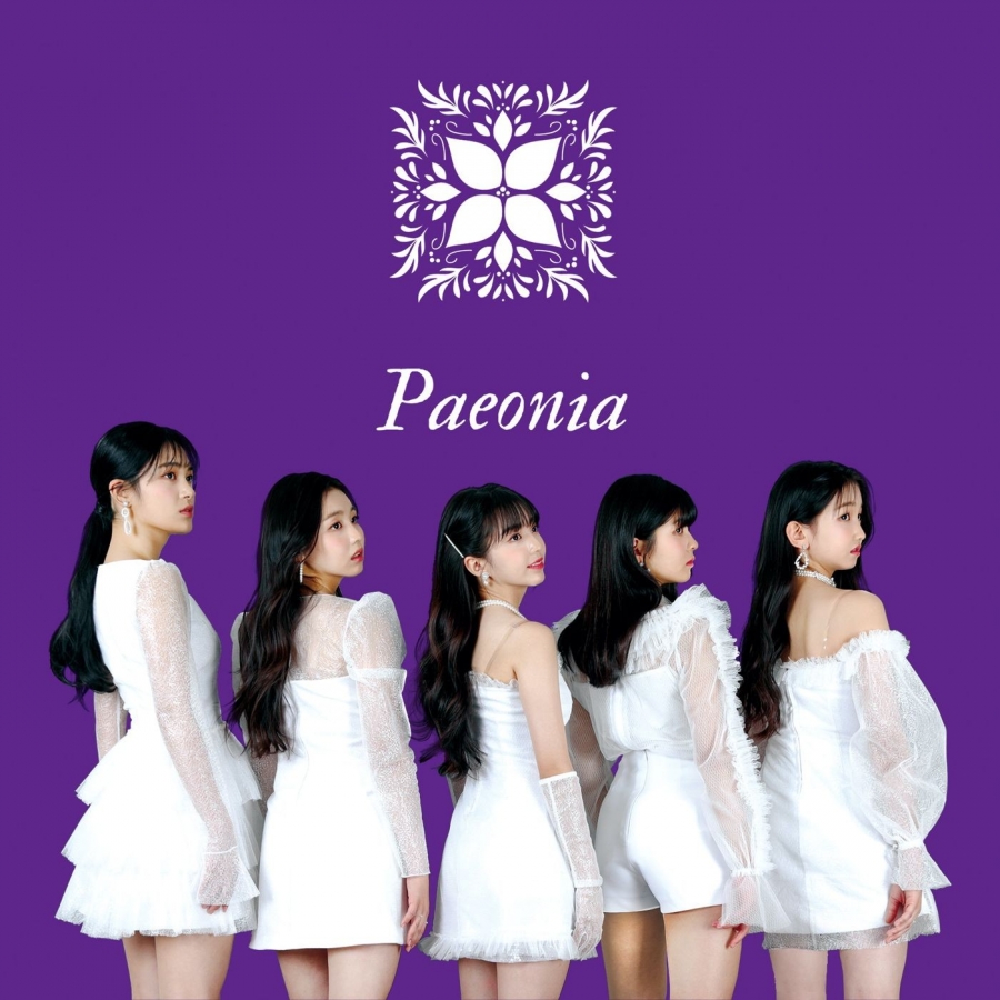 Busters Paeonia cover artwork