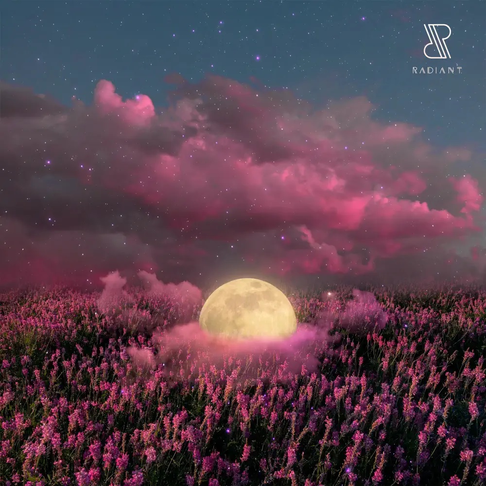 Fahlberg — The Power of Acceptance cover artwork