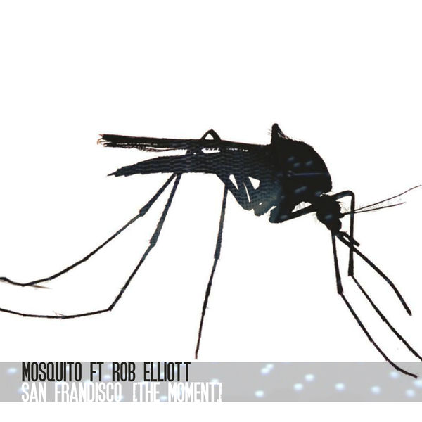 Mosquito featuring Rob Elliott — San Frandisco (The Moment) cover artwork