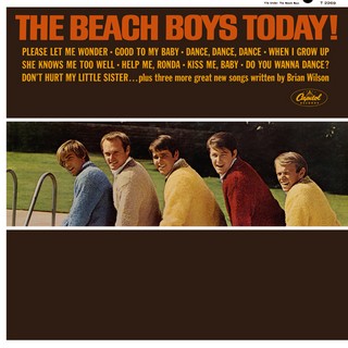 The Beach Boys — She Knows Me Too Well cover artwork