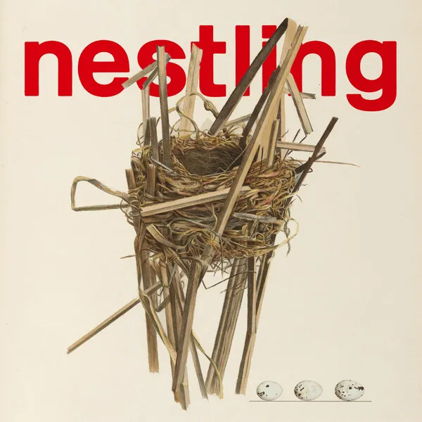KIRINJI Nestling cover artwork