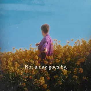 Daniel Blume — Not A Day Goes By cover artwork