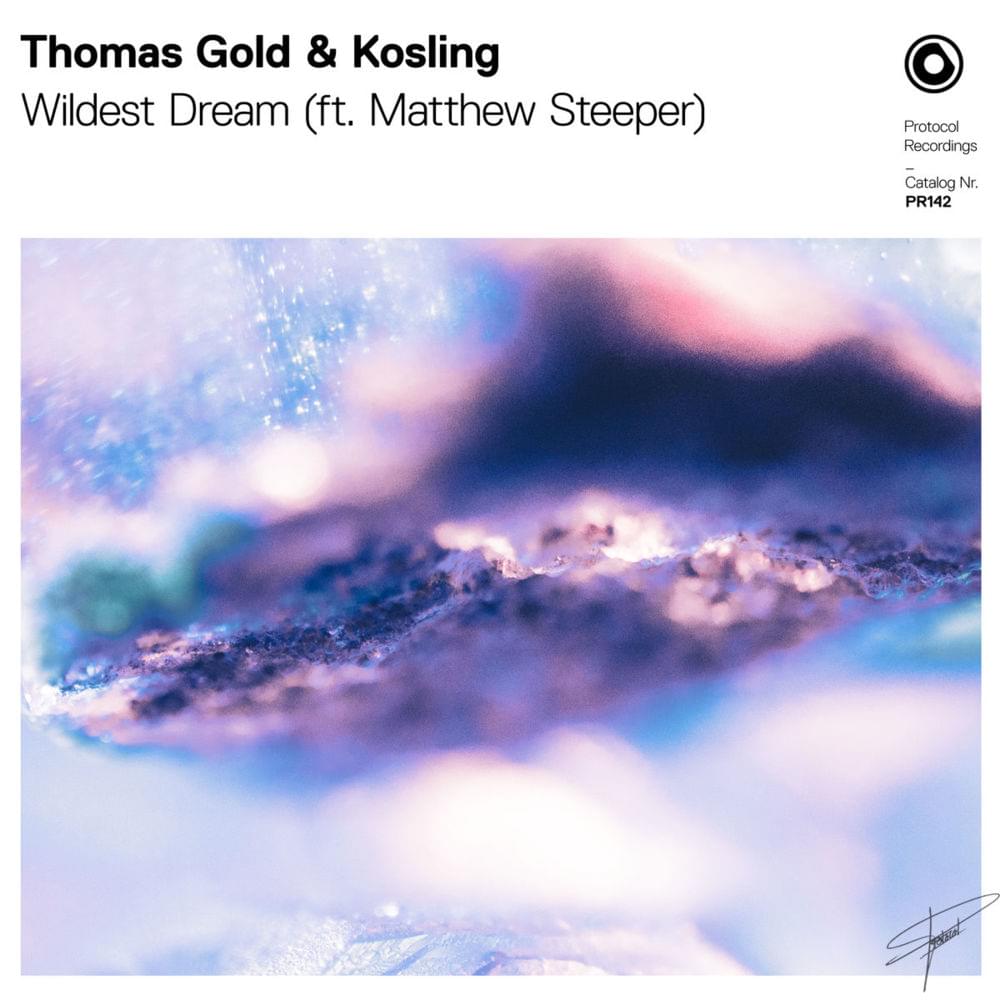 Thomas Gold & Kosling ft. featuring Matthew Steeper Wildest Dream cover artwork