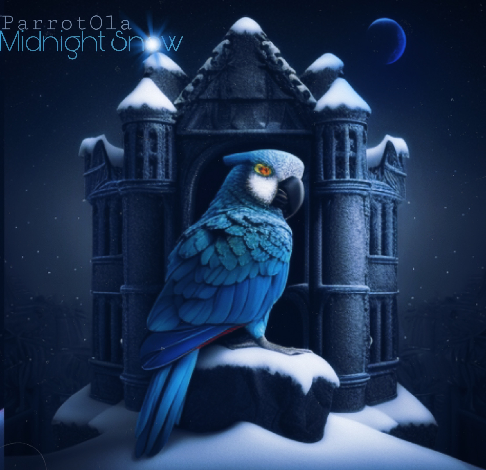 ParrotOla — Midnight Snow cover artwork