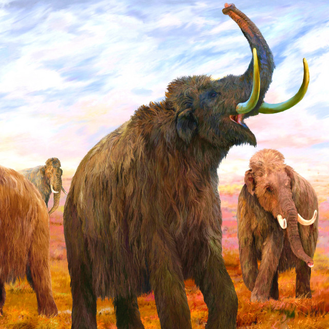 Funkmammoth — Brontosaurus cover artwork