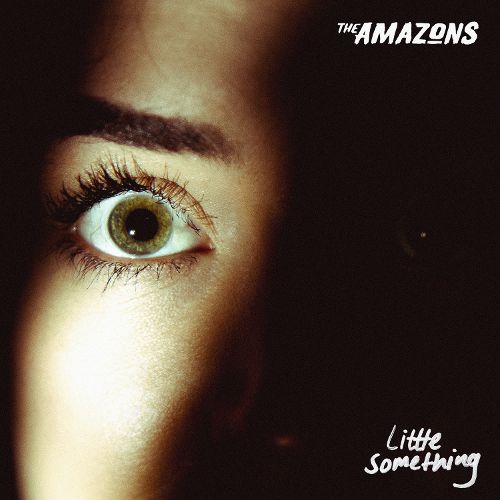 The Amazons — Little Something cover artwork