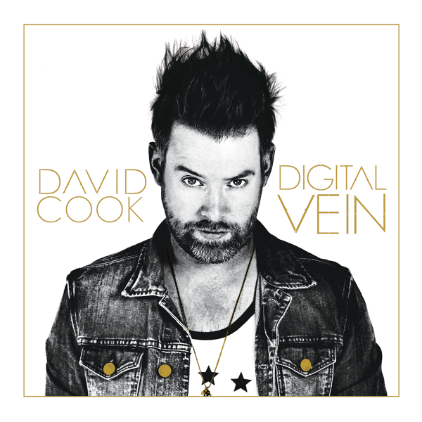 David Cook Digital Vein cover artwork