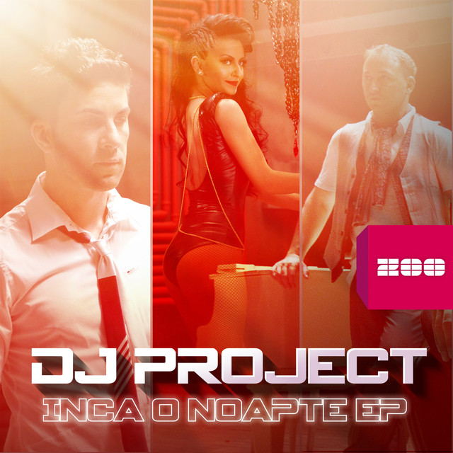 DJ Project Inca O Noapte cover artwork
