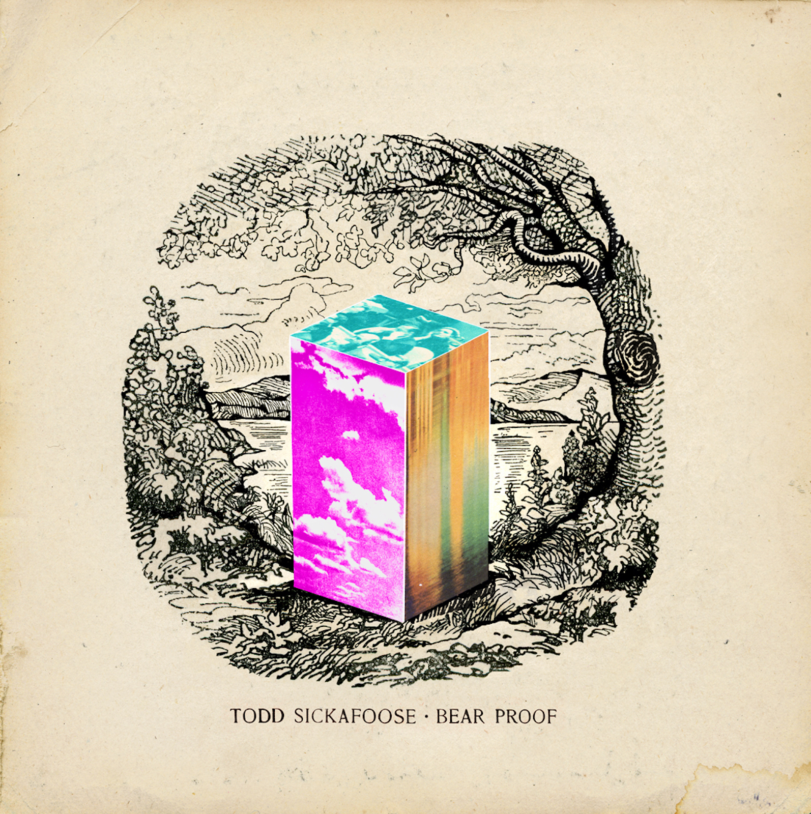 Todd Sickafoose — Flush cover artwork