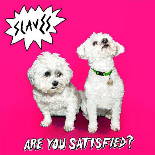 SOFT PLAY — Are You Satisfied? cover artwork