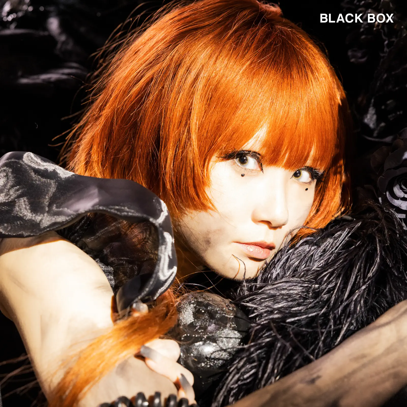 Reol BLACK BOX cover artwork