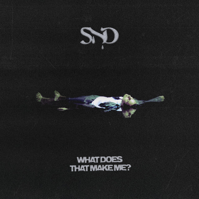 Sad Night Dynamite — What Does That Make Me? cover artwork