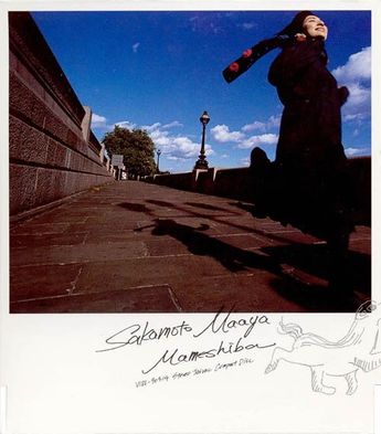 Maaya Sakamoto — Mameshiba cover artwork