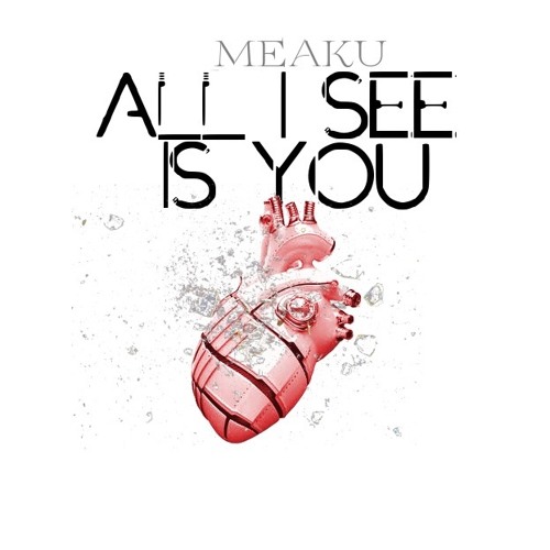 Meaku — All I See Is You cover artwork