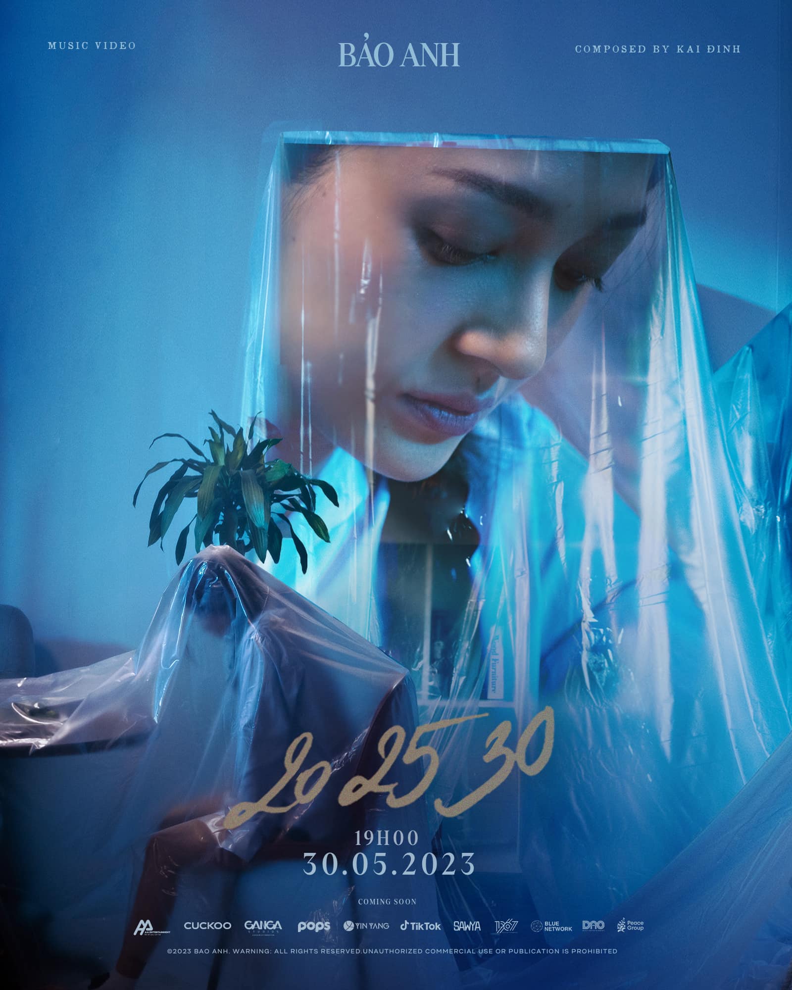 Bảo Anh — 20 25 30 cover artwork