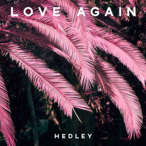 Hedley Love Again cover artwork