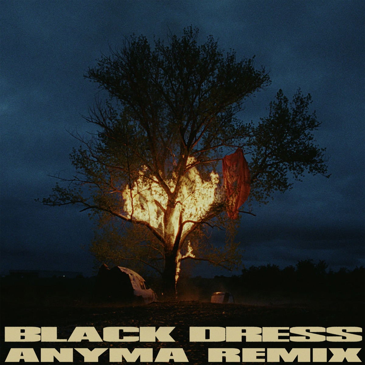 070 Shake — Black Dress (Anyma Remix) cover artwork