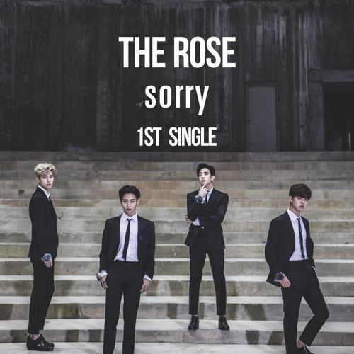 The Rose The Rose 1st Single ‘Sorry’ cover artwork